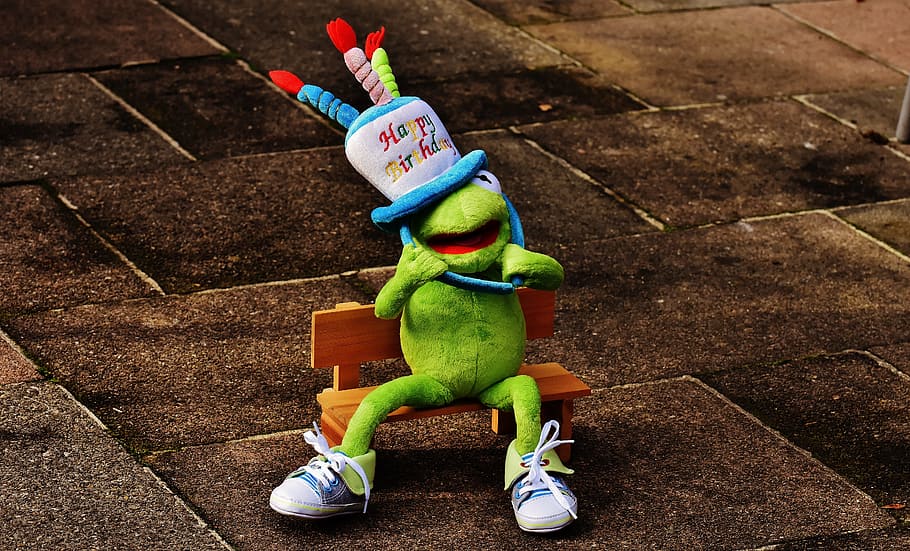 Kermitt the Frog plush toy on pavement, Birthday, Congratulations, HD wallpaper