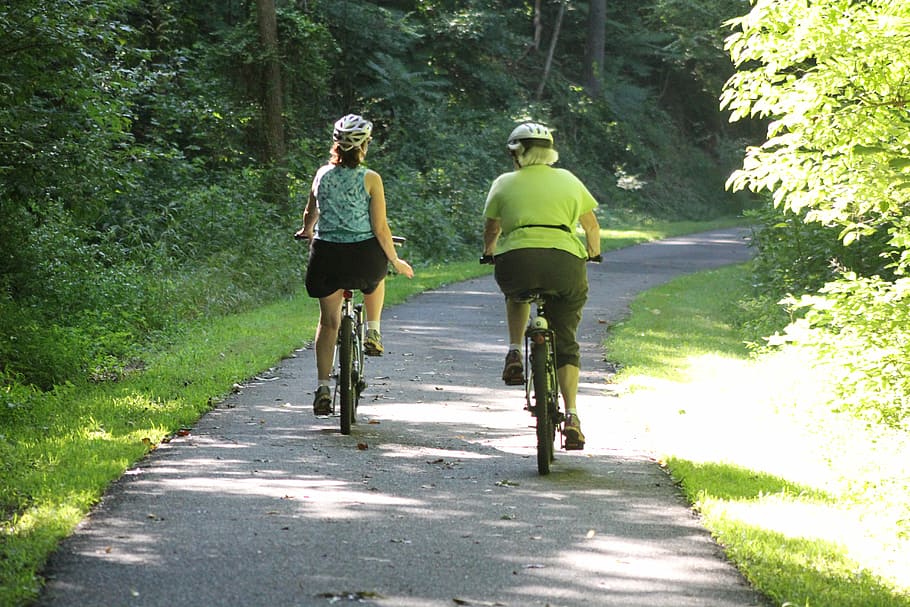 two persons wearing gray and yellow shirts riding bicycle between green trees