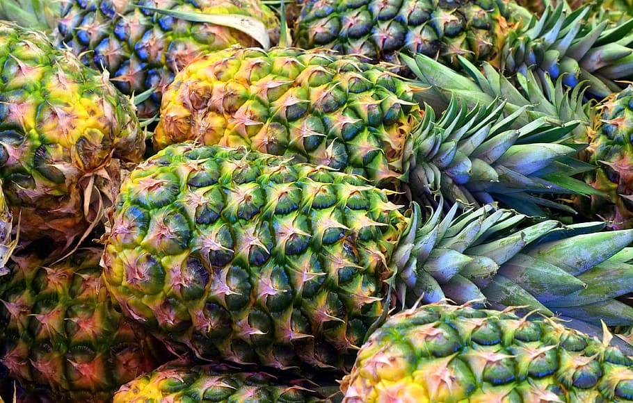 close-up photo of pineapple fruits, healthy eating, food and drink HD wallpaper