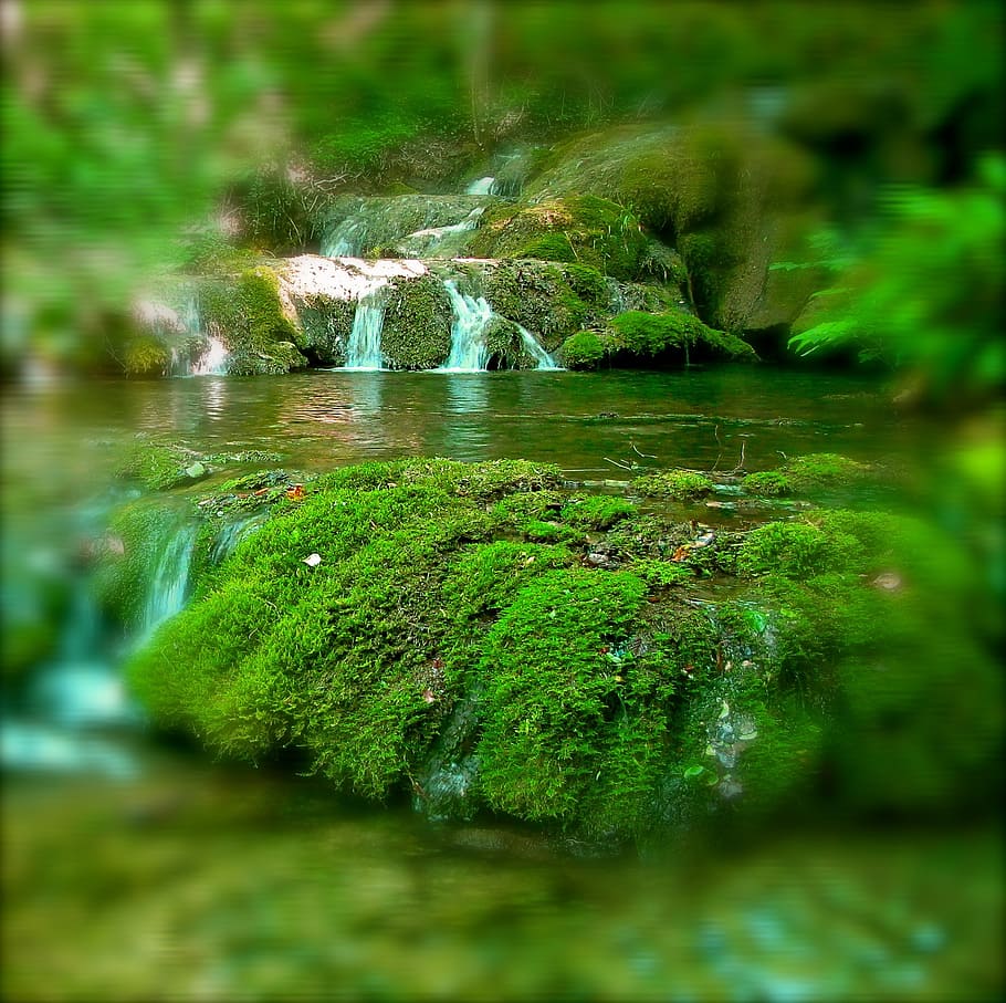 creek, relaxation, cascade, nature, green, water, green color HD wallpaper