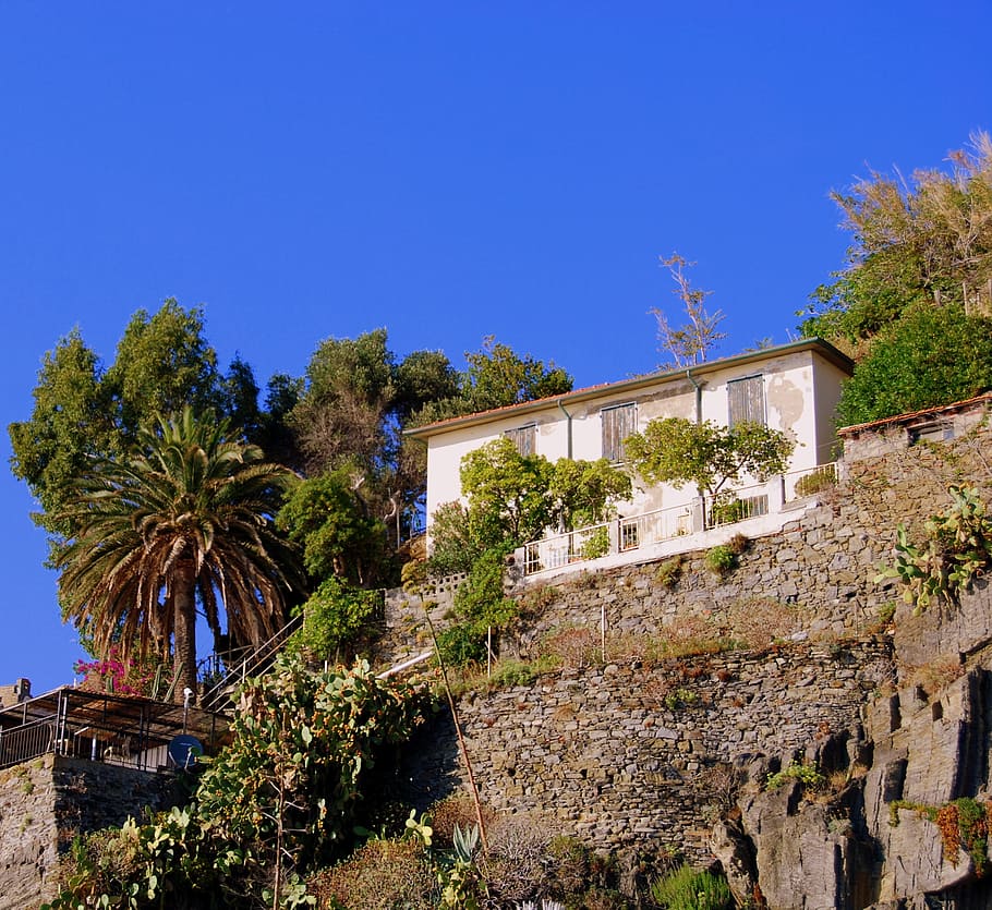 House, Rock, Green, Tree, Sky, architecture, palm Tree, no People HD wallpaper