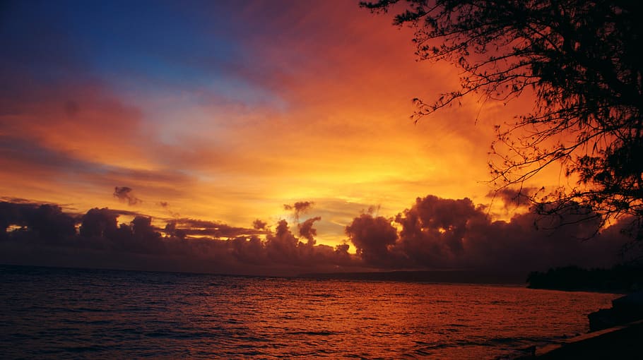 body of water during sunset, sunrise, hawaii, landscape, beach, HD wallpaper