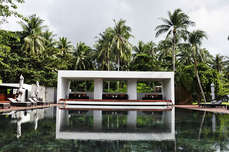 swimming pool surrounded by trees, white and brown shed infront of pool taken at daytime HD wallpaper