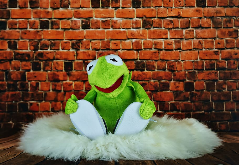 Kermit the frog plush toy sitting on fur textile, funny, soft toy