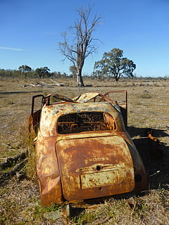 wrecked rusted car in front of bare tree, vehicle, smashed HD wallpaper