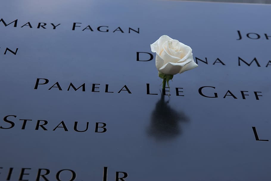 White Rose Memorial at Ground Zero, white rose on top of black board with name printed on it HD wallpaper
