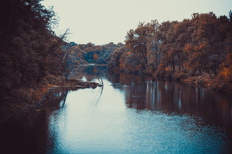 Landscape, River, Evening, Nature, autumn, water, season, environment HD wallpaper