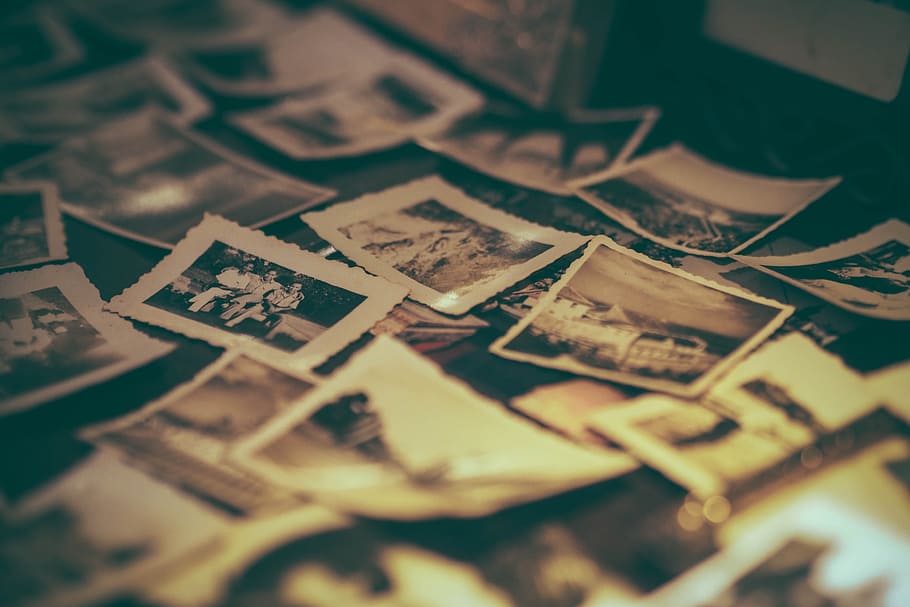 scattered sepia photographs on the floor, album, antique, arrangement