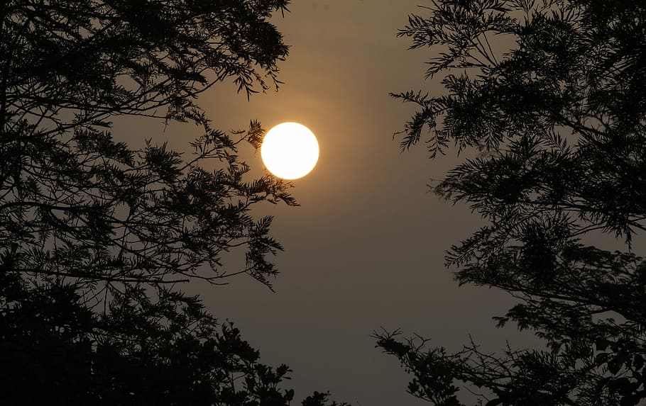 Sunset, Nature, Silhouette, Night, Sky, moon, tree, outdoors HD wallpaper