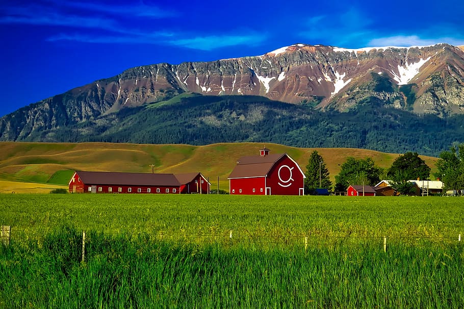 red wooden barn beside hill and mountain under blue sky, oregon