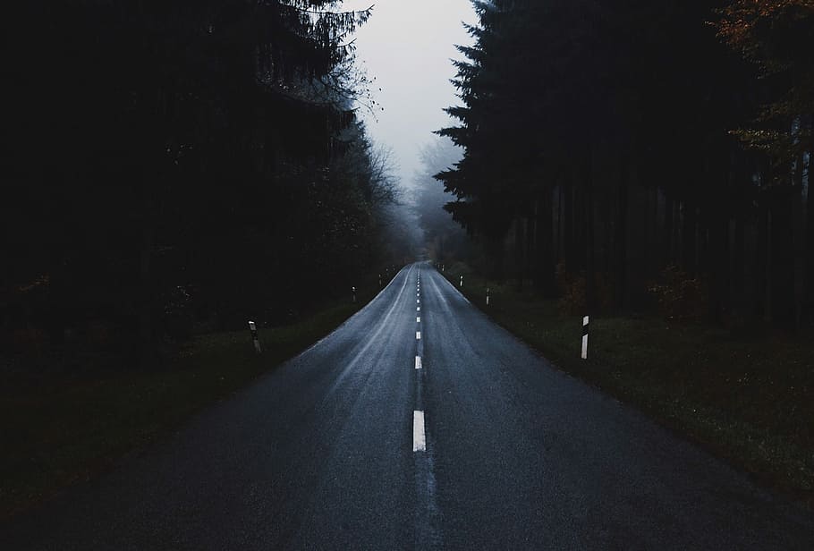 gray concrete road between trees at daytime, concrete roadway surrounded by trees HD wallpaper