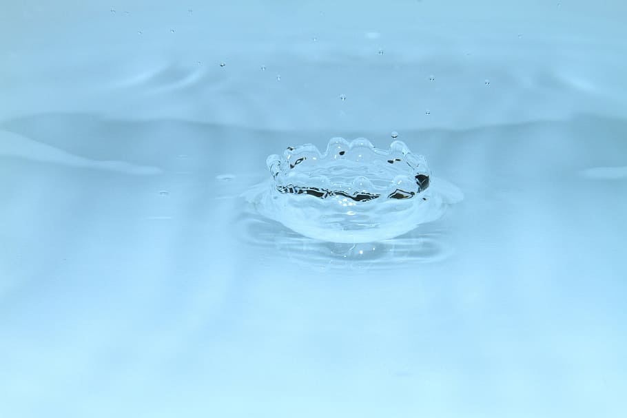 Macro, Drop, Water, Nature, close-up, blue, no People, freshness HD wallpaper