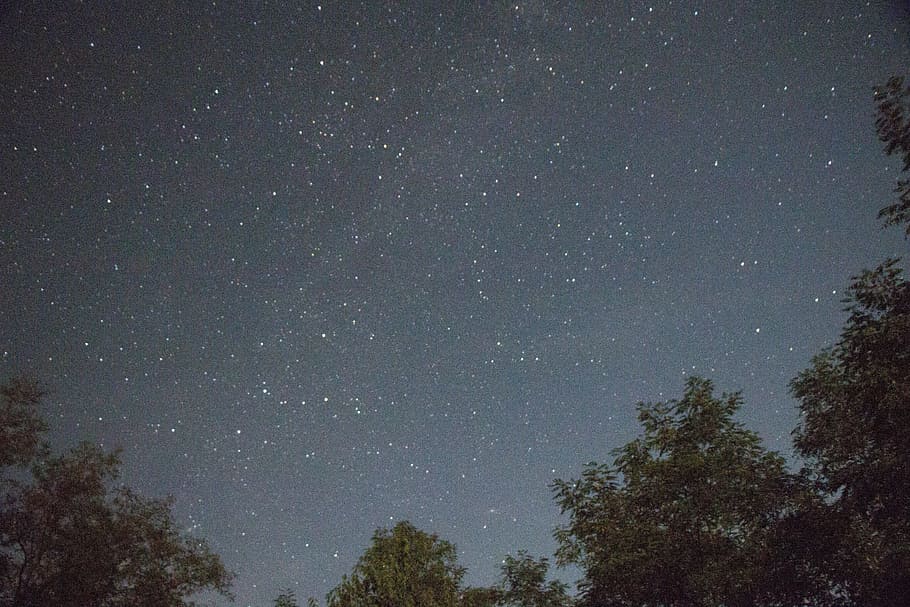 night sky, the sky, space, tree, stars, slovakia, atmosphere HD wallpaper