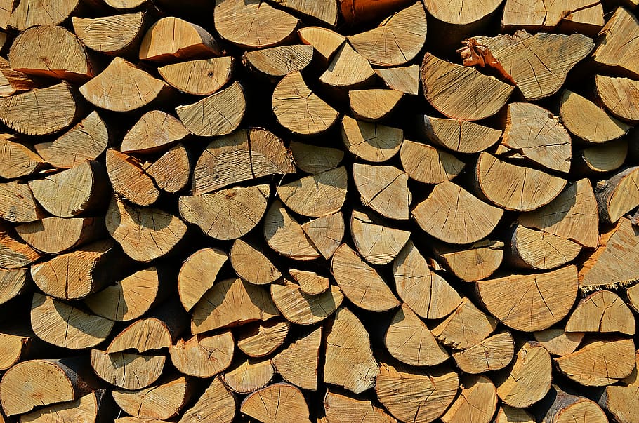 tree, wood, background, nature, texture, forest, the structure of the HD wallpaper