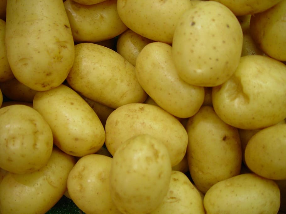 potatoes, Vegetables, Raw, Uncooked, frisch, vegetarian, food HD wallpaper