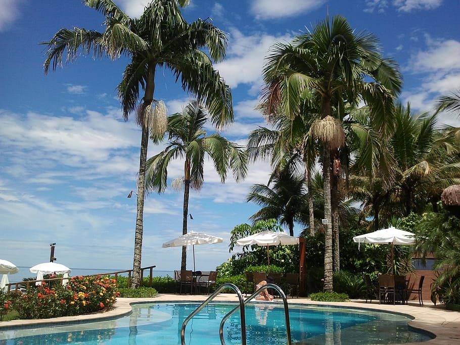pool, holidays, palm trees, beach, rest, trip, quiet, brazil HD wallpaper