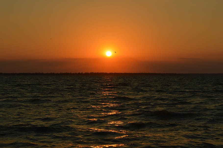 Sunset, Firth, Water, sea, scenics, nature, beauty in nature HD wallpaper