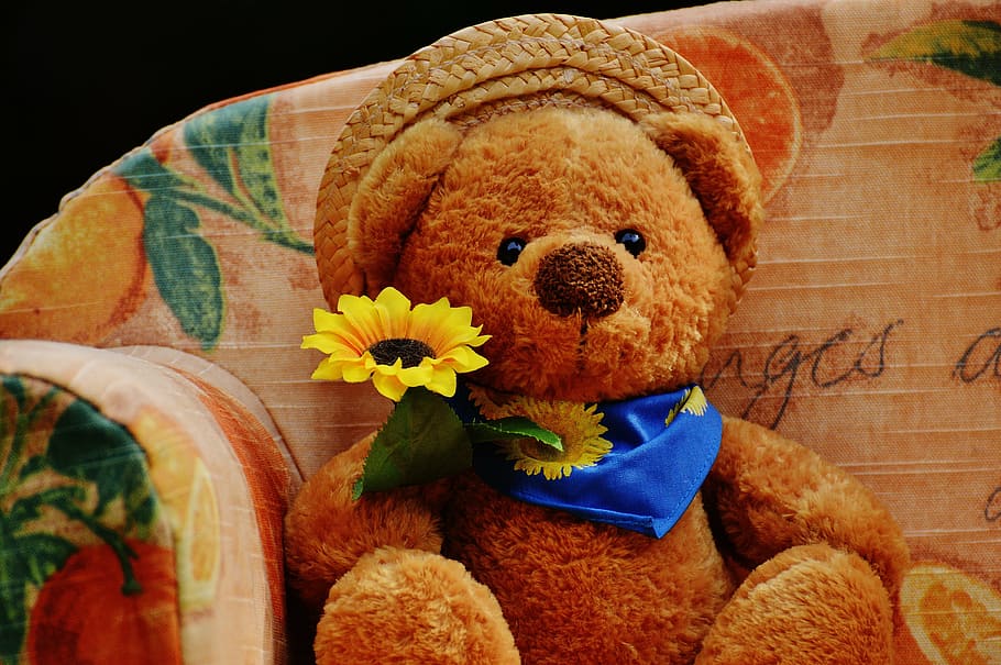 brown bear plush toy on armchair, sofa, bears, sweet, cute HD wallpaper