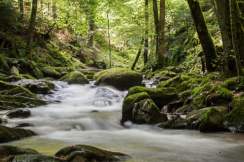 green rocks on body of water during daytime, flow, bach, river HD wallpaper