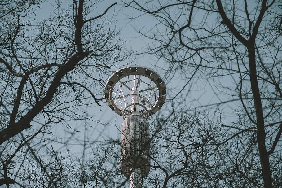 white tower during daytime, low angle photography of white tower and bare tress HD wallpaper