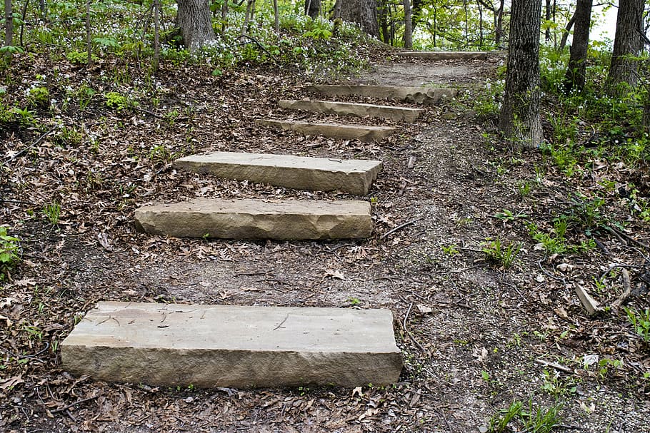 woods, steps, forest, green, park, outdoors, path, trees, walk HD wallpaper