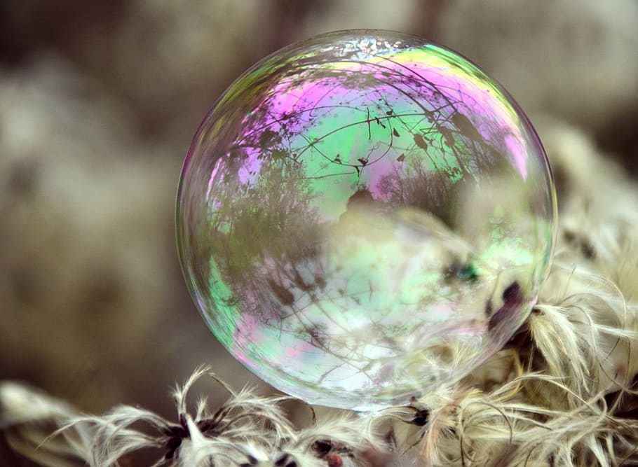 selective focus photography of bubble, soap bubble, iridescent HD wallpaper
