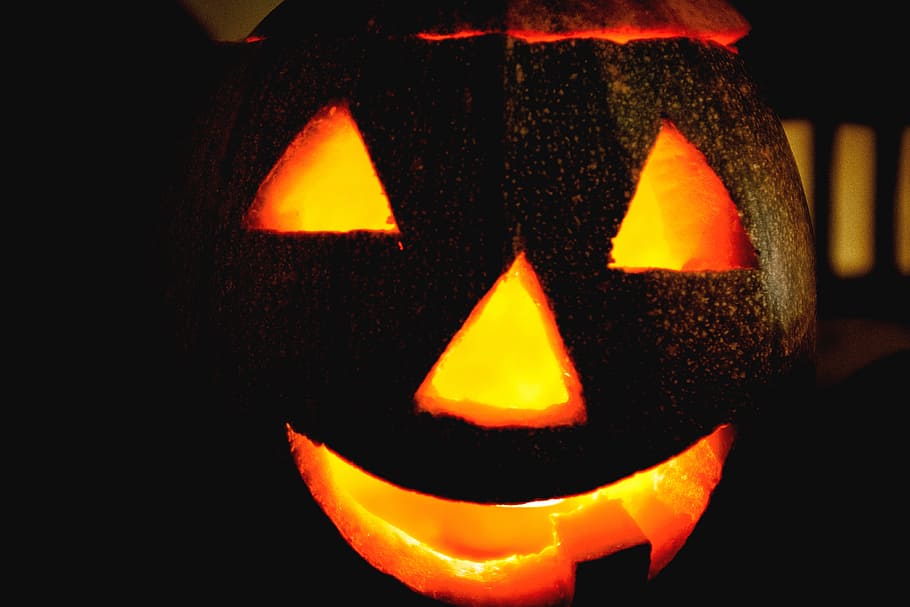 Halloween pumpkin lantern, objects, autumn, horror, night, holiday HD wallpaper
