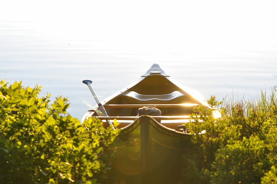 brown row boat during day time, nautical Vessel, nature, water HD wallpaper