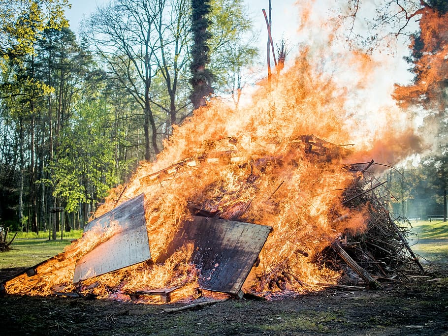 fire, may fire, heat, burn, wood fire, campfire, tree, burning HD wallpaper