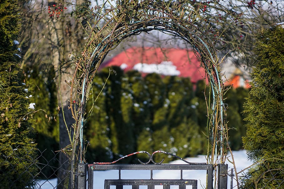 Gate, Gateway, Ornamental, Bow, an ornamental gate, garden HD wallpaper