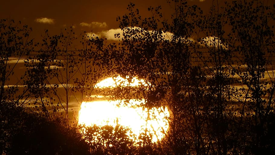 sunset, evening, sky, dusk, clouds, romantic, water, plant HD wallpaper