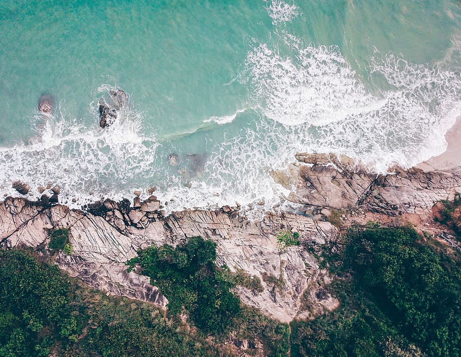aerial view photography of sea waves, photo of seashore with trees HD wallpaper