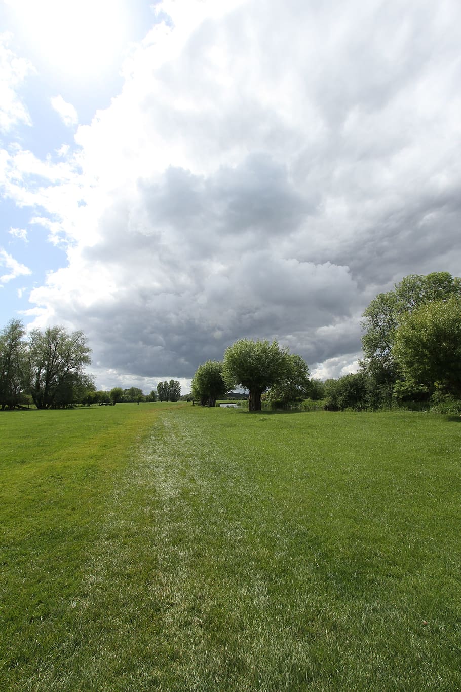 field, cloud, grass, landscape, meadow, green, horizon, sunlight HD wallpaper