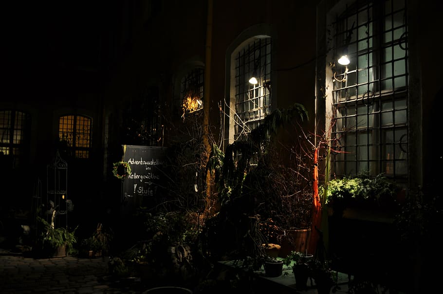 backyard, hof, night, dark, illuminated, building exterior HD wallpaper