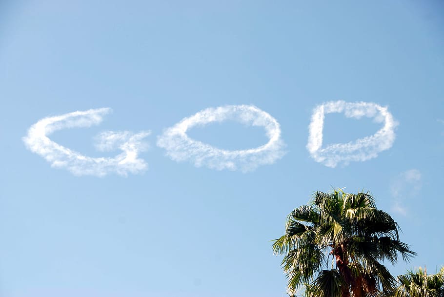 green tropical tree, sky writing, text, word, space, message HD wallpaper