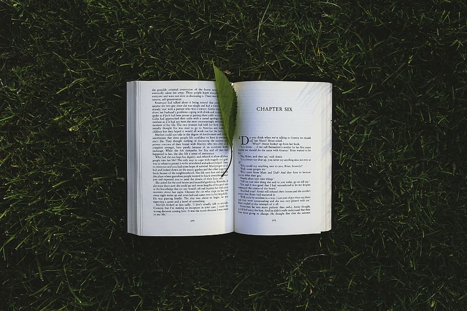 photo of opened book with leaf, chpter, six, grass, read, reading HD wallpaper