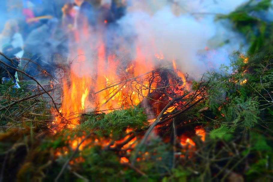 Easter Fire, Branches, Leaves, green, burning, forest fire HD wallpaper