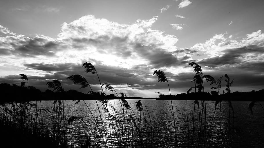 lake, bw, sun, sky, cloud - sky, water, tranquility, beauty in nature HD wallpaper