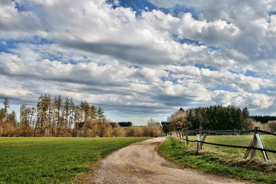 Landscape, Forest, Away, Trees, Fence, sky, clouds, autumn HD wallpaper