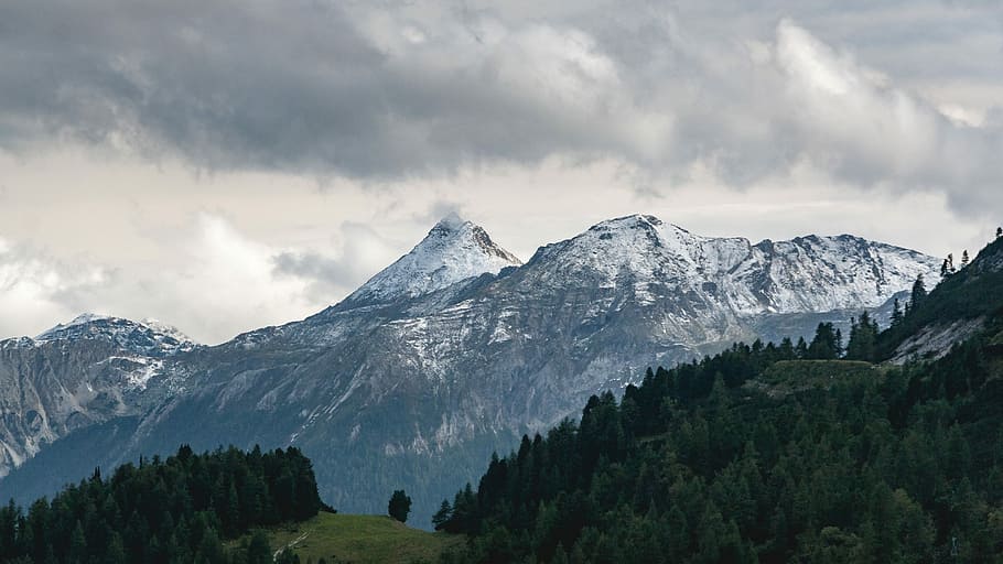 snow capped mountains surrounded with trees, rock, peak, summit HD wallpaper