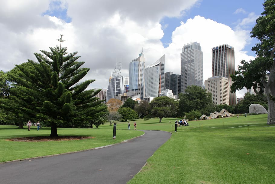 Sydney, Botanic, Garden, tree, building exterior, architecture HD wallpaper