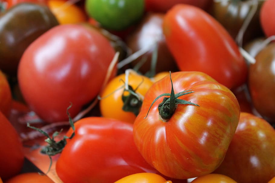 tomatoes, vegetables, red, food, freshness, organic, vegetarian Food HD wallpaper