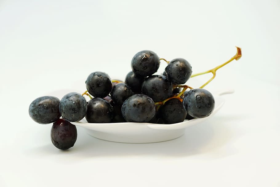 grape, fruit, table grapes, fruits, blue, healthy, food, blue grapes HD wallpaper