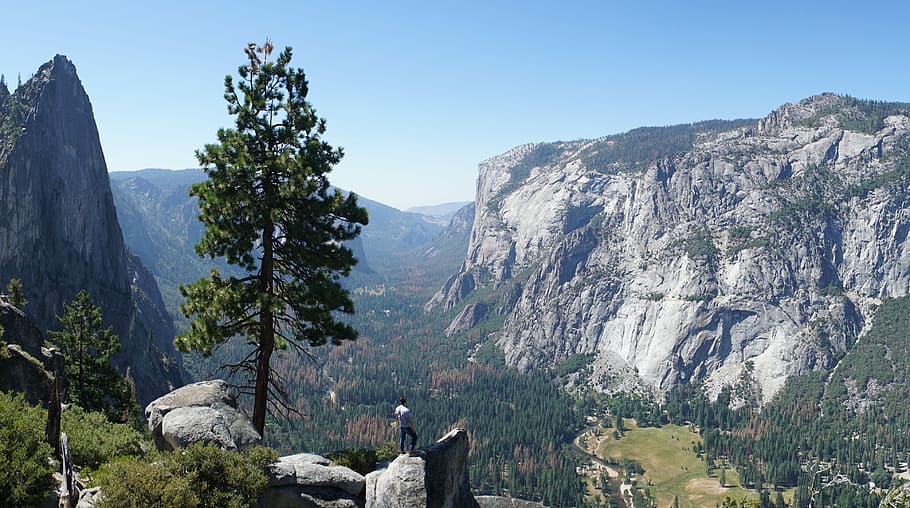 Overlooking the Yosemite Valley in Fall., green leafed tree near gray mountain HD wallpaper