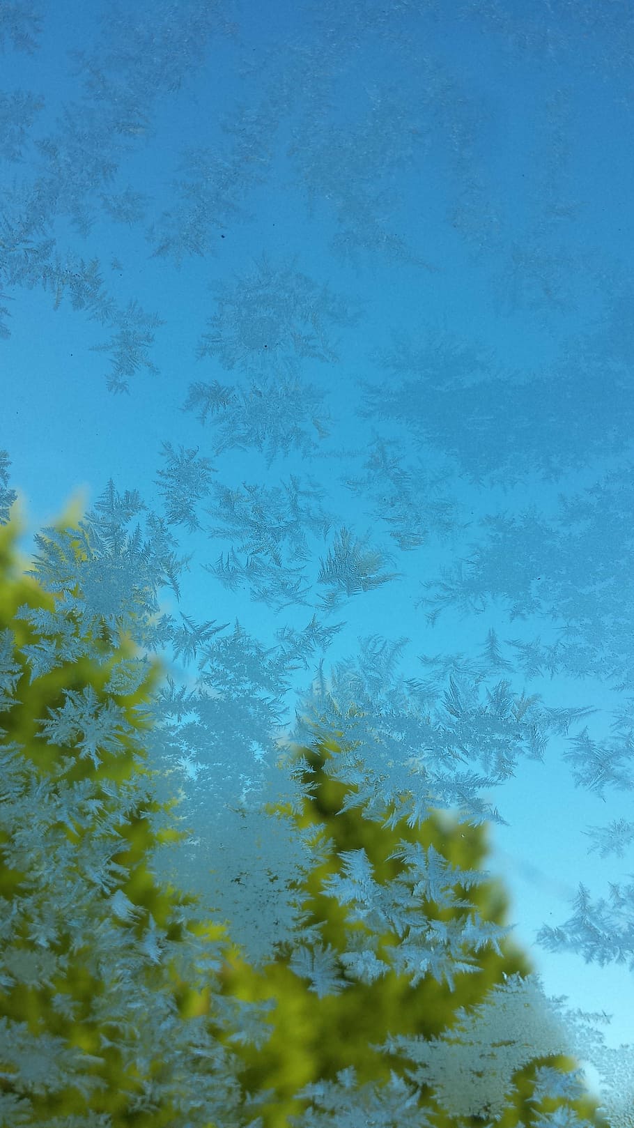 frost, window, car, trees, icy, cold, glass, ice, winter, frosted HD wallpaper