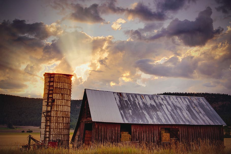 brown wooden house, brown wooden barn under white clouds in open field HD wallpaper