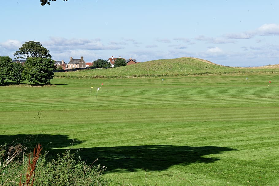 brown houses near open field, golf, golf practice ground, flags HD wallpaper