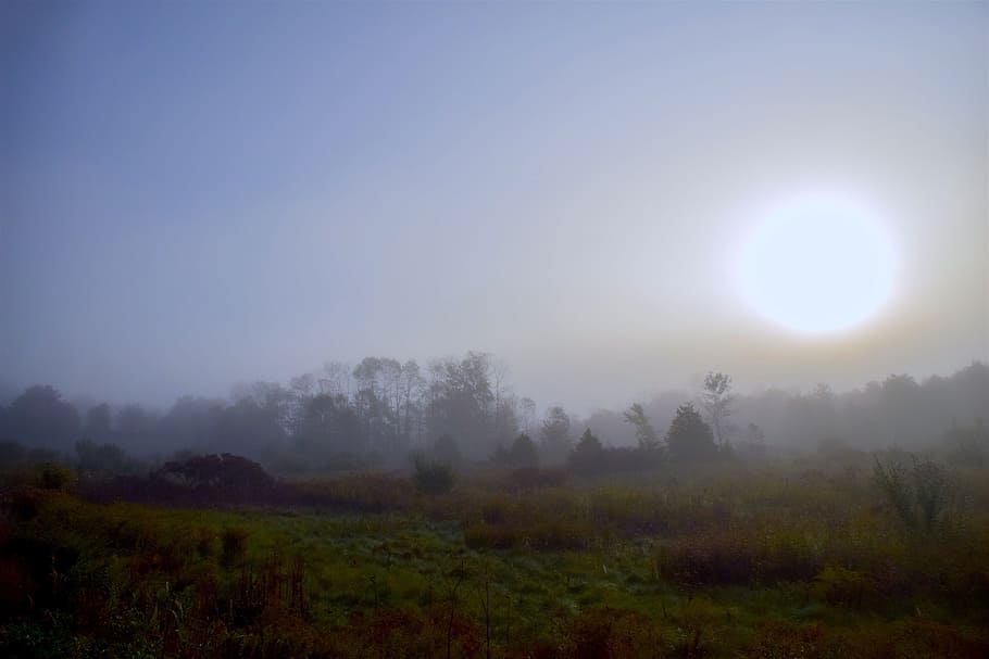 Sun, Mist, Field, Fog, Landscape, Nature, morning, sunlight HD wallpaper