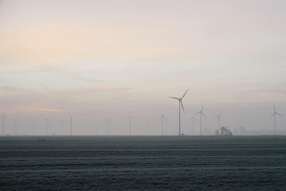 Wind turbines in a field, industry, landscape, electricity, fuel and Power Generation HD wallpaper