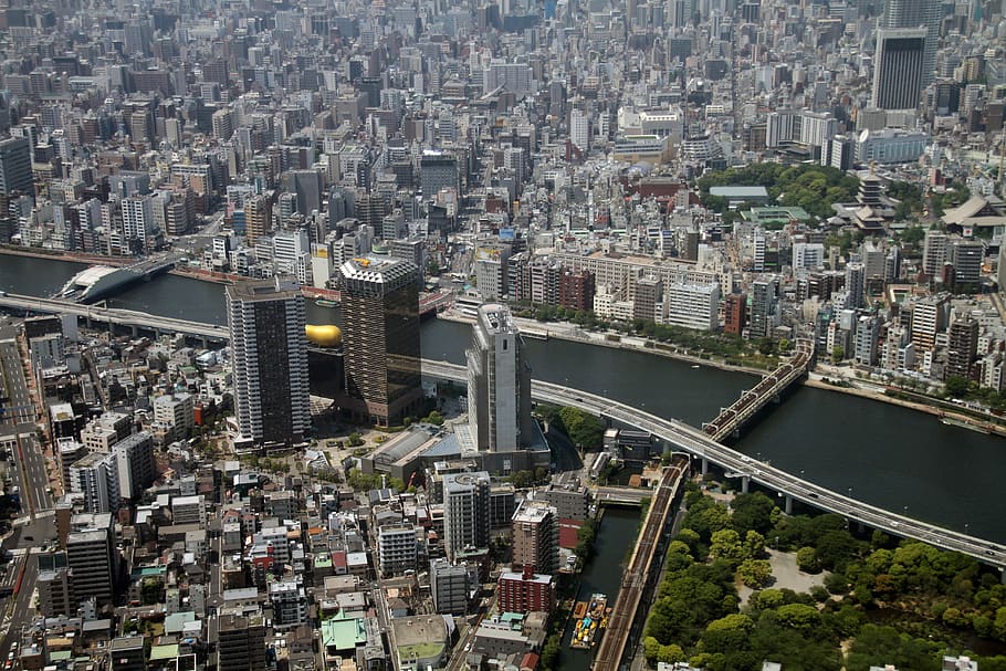 bird's eye view of city buildings, tokyo, japan, tower, skytree HD wallpaper